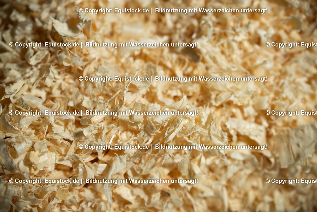 20190409_Excuisit_0008 | Foto: Thomas Hartig