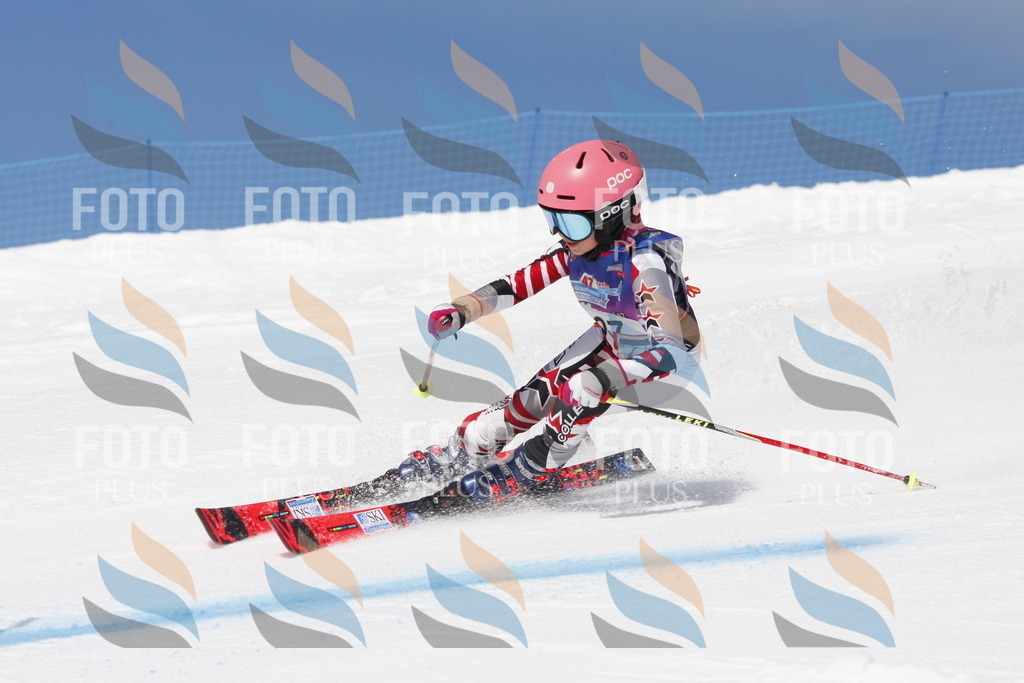 _W1G1438 | holidayphoto