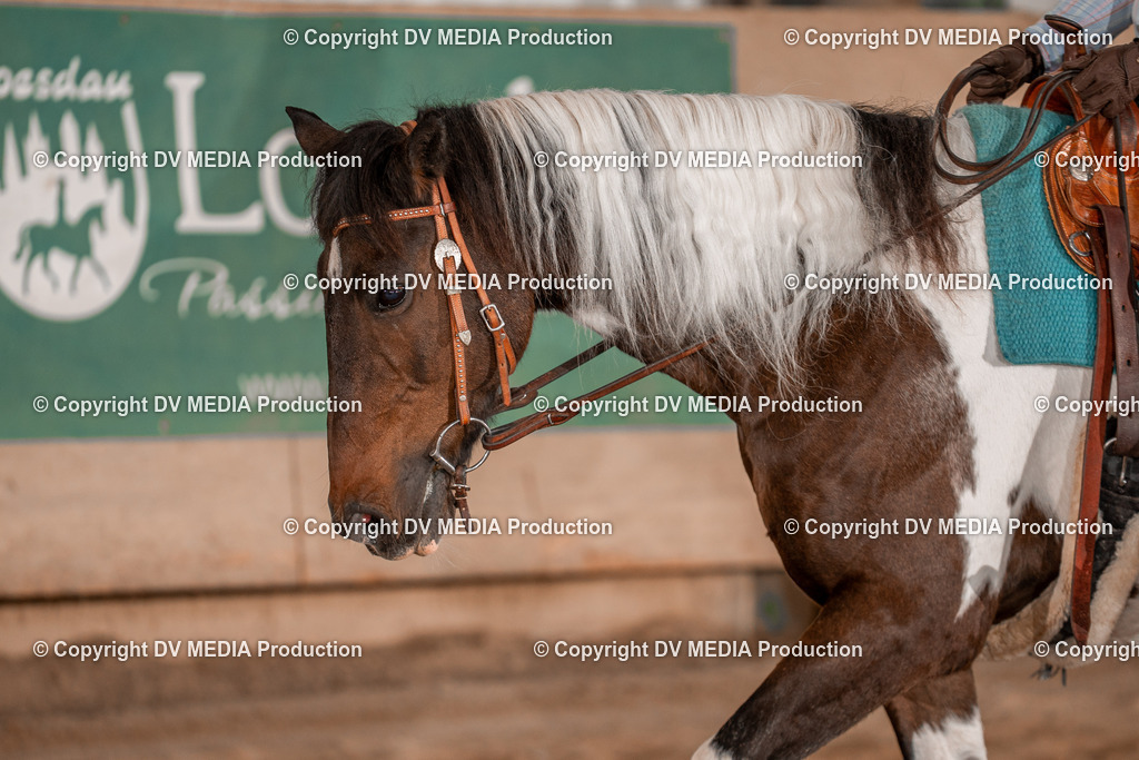 Balingen Tag 3-511 | dv-media-shop - Realisiert mit Pictrs.com