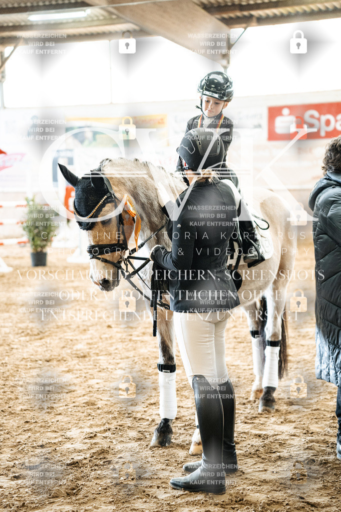 CK702996 | Turnierfotografie Pferdefotografie Trier Rheinland-Pfalz Pferdesport Reitsport Tierfotografie Sportfotografie Pferdevideo Pferdevideografie Equestrianvideography equestrianphotography  - Realisiert mit Pictrs.com