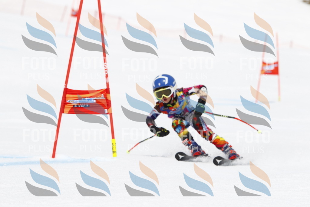 _U3G7169 | holidayphoto