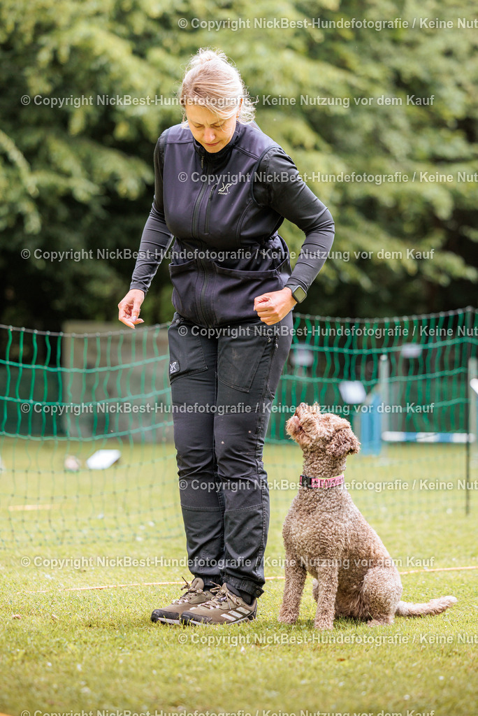 RO-Blumenthal-2026-Nickbest-Hundefotografie-2063 | Dein Hund! Dein Moment! Deine Erinnerungen! Hundefotografie in Bremen Blumenthal. Ich fange die besonderen Momente deines Vierbeiners ein – ob Indoor mit Blitzanlage oder in der freien Natur. Sicher dir dein Moment und dein Termin für eure Erinnerungen.
