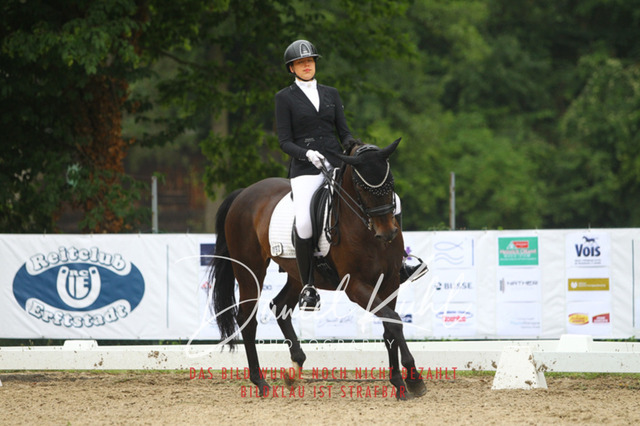 DKP40188 | Turniersportfotografie; Pferdefotografie; Dressurfotografie