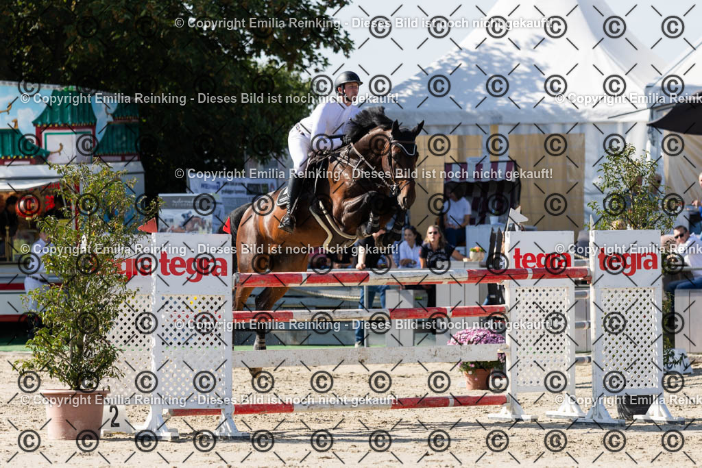 CL5A9801 | Emilia Reinking Fotografie - Realisiert mit Pictrs.com