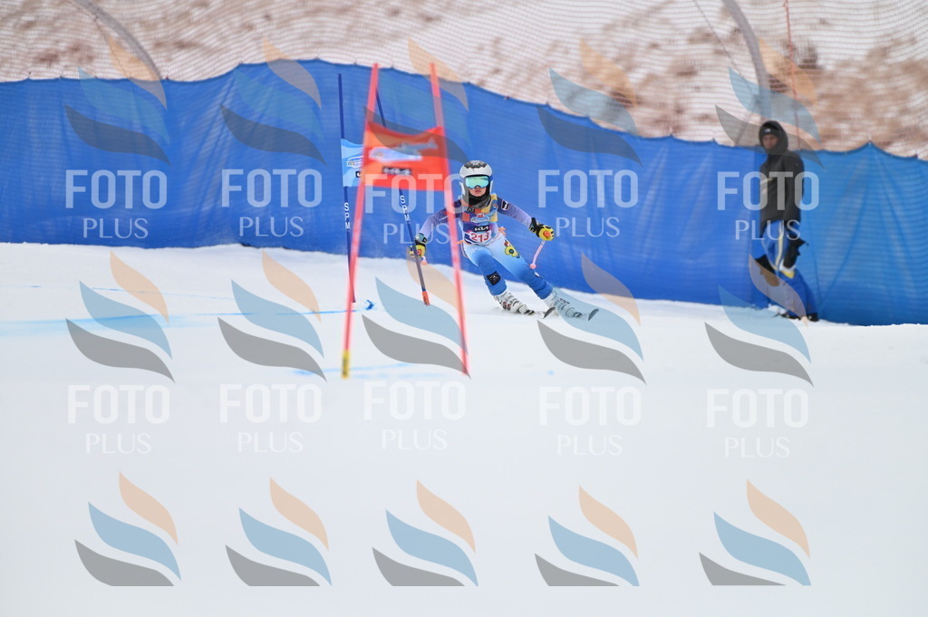 BGV_2550 | holidayphoto