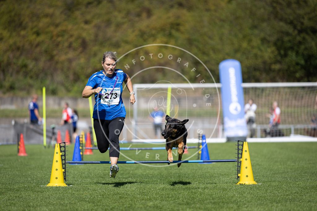 Pfotenfotografie_DV3A6899 | Hundefotografie, Tierfotograf, Pfotenfotografie, Fotoshooting Hund, Hunde Portrait, Hundesport, Hundeportraits, Heideshooting, Hunde, Sportfotograf, Hundefotograf, Turnierhundsport, THS,  - Realisiert mit Pictrs.com