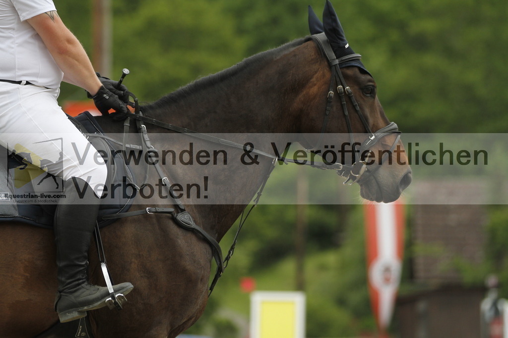 _MG_6384 | equestrian-live-com