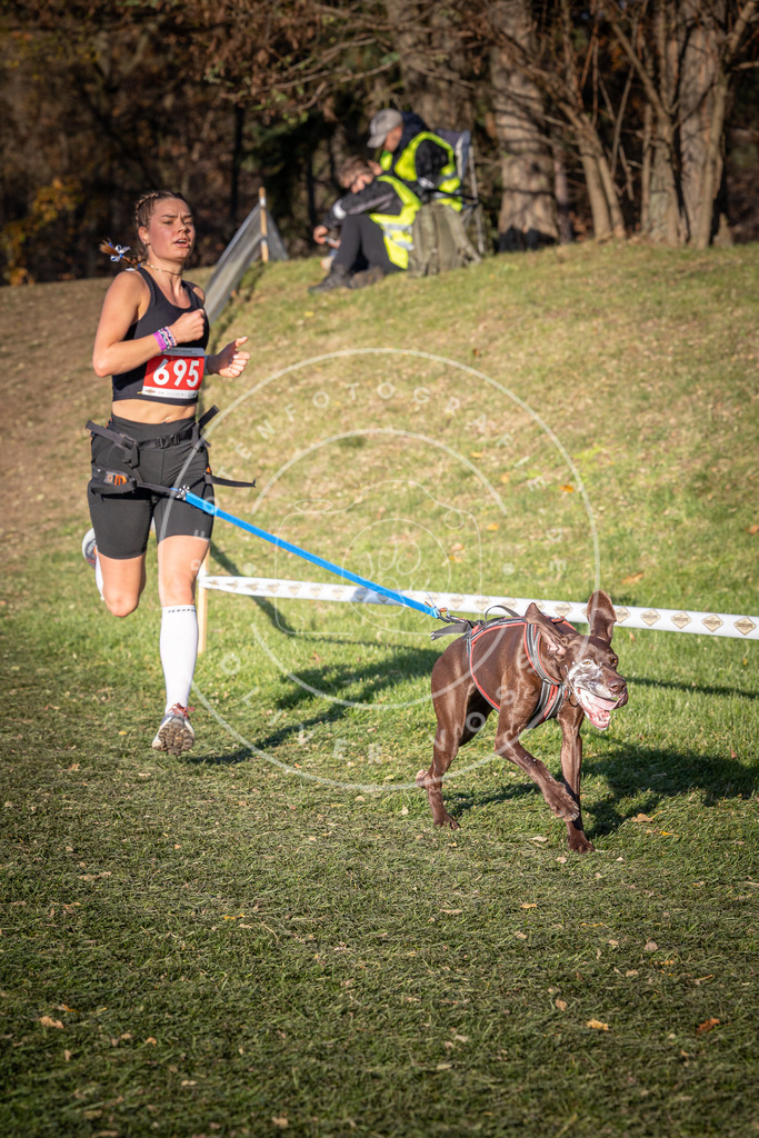 CaniXpix_0L8A9413 | Hundefotografie, Tierfotograf, Pfotenfotografie, Fotoshooting Hund, Hunde Portrait, Hundesport, Hundeportraits, Heideshooting, Hunde, Sportfotograf, Hundefotograf, Turnierhundsport, THS,  - Realisiert mit Pictrs.com