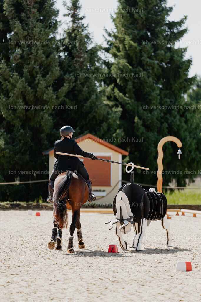 Lara_21_FHC2025-27 | working equitationturnier fotograf videograf stoibphotography marixx film working equitation deutschland reitsport turnierfotografie eventfotografie equestrian events