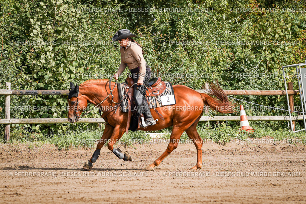 DSC09624 | Pferdegrafie