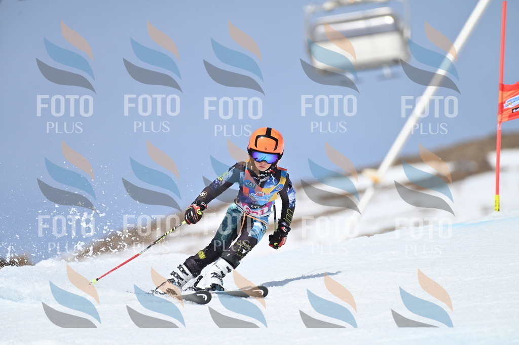 BGV_3651 | holidayphoto