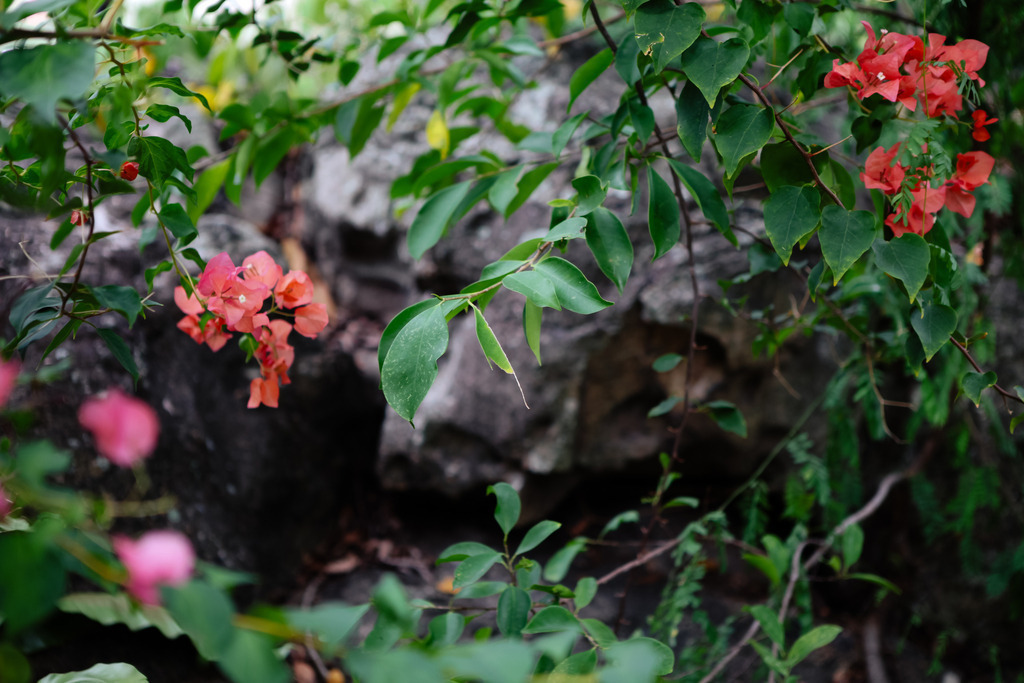 IMG_1110 | AHORN PHOTOGRAPHY - Realisiert mit Pictrs.com