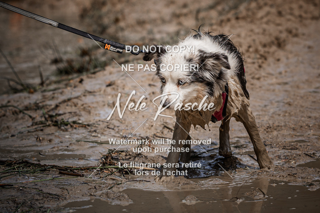 nelerasche_Hoope2026_Sa1230-1300_259 | nelerasche