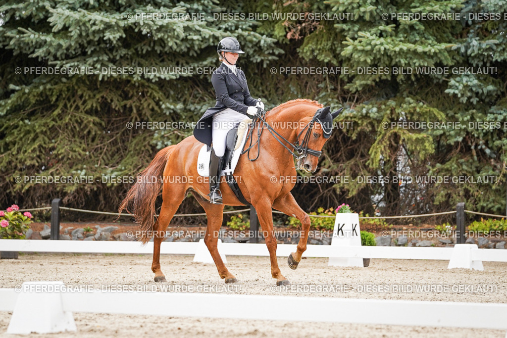 DSC05308 | Pferdegrafie