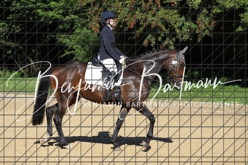 IMG_5177 | Benjamin Bartmann Photomoments