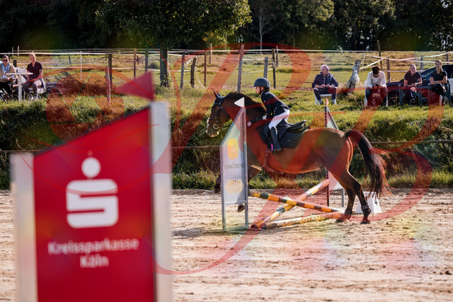 2026_10_03_Siefer-Hof_143811_Z81_08072884 | Professionelle Reitsport-, Turnier- und Eventfotografie von Robert Broda. Galerien mit ausgewählten und bearbeiteten Bildern direkt online ansehen und bestellen.