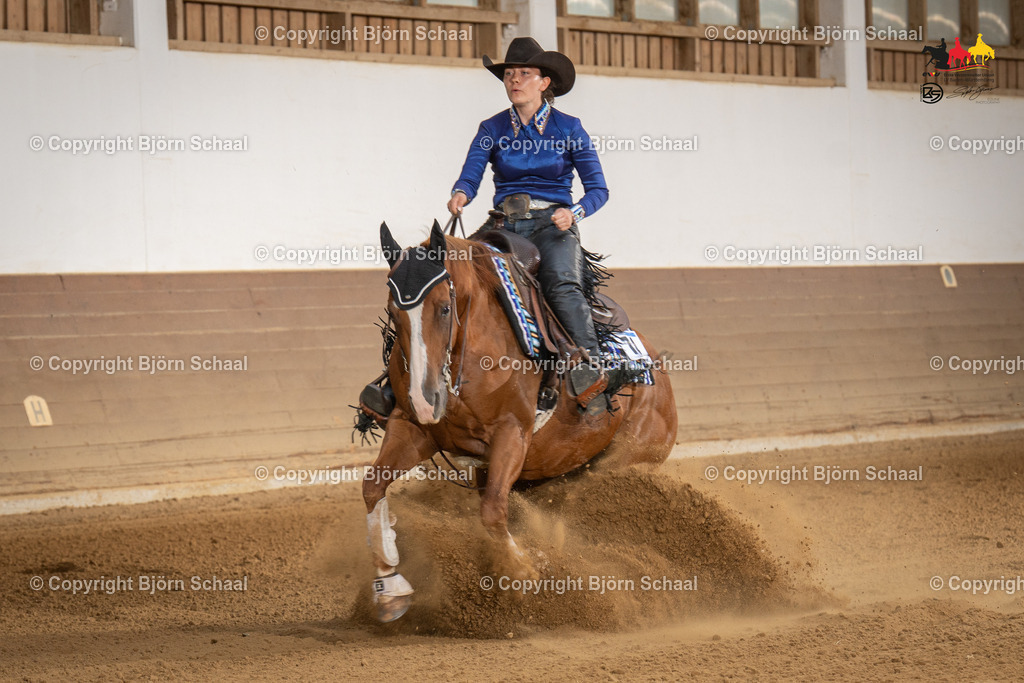 LMS08018 | BS-foto