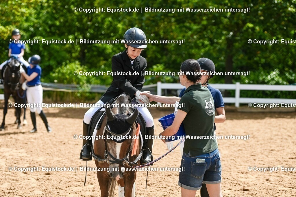 20230716_11_Führzügel-WB_0107 | equistock