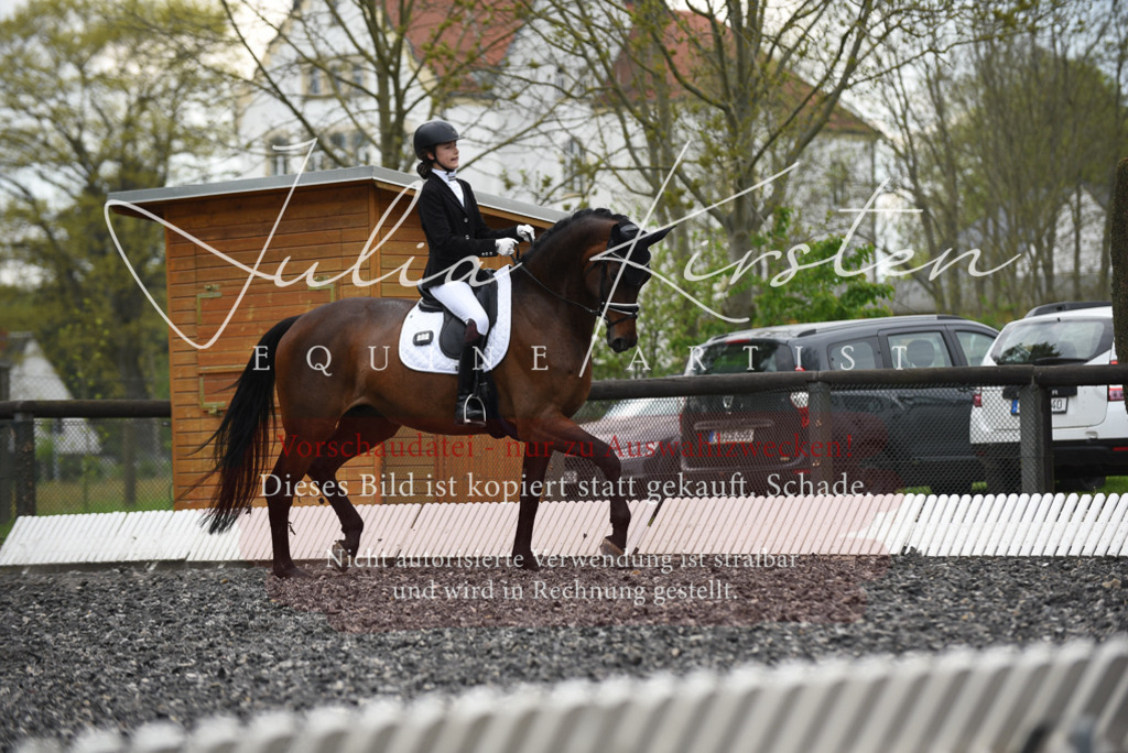 20230513_JK-Röhrsdorf-16-038 | Pferde- und Turnierfotografie in Westsachsen. Pferdeportraits, Auftragszeichnungen und intuitive Kunst.