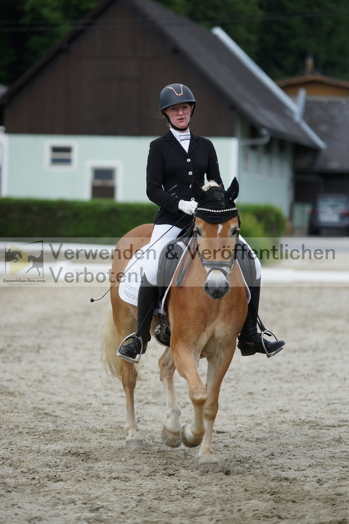 DSC05485 | equestrian-live-com