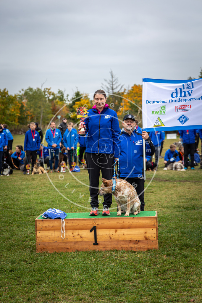 Pfotenfotografie_0L8A0558 | Hundefotografie, Tierfotograf, Pfotenfotografie, Fotoshooting Hund, Hunde Portrait, Hundesport, Hundeportraits, Heideshooting, Hunde, Sportfotograf, Hundefotograf, Turnierhundsport, THS,  - Realisiert mit Pictrs.com
