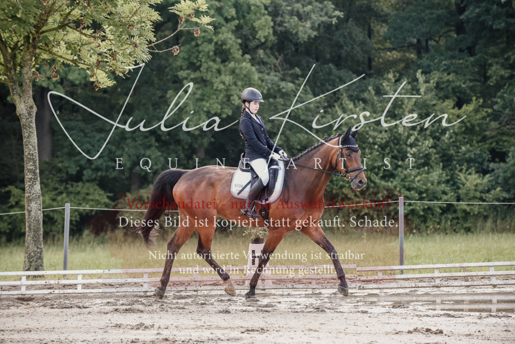 DSC_8028 | Pferde- und Turnierfotografie in Westsachsen. Pferdeportraits, Auftragszeichnungen und intuitive Kunst.