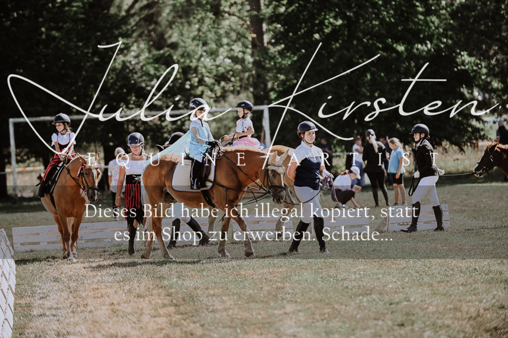 DSC_9017 | Pferde- und Turnierfotografie in Westsachsen. Pferdeportraits, Auftragszeichnungen und intuitive Kunst.