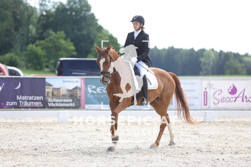 0P6A5000 | Willkommen bei Brunnmayr - Design & Fotografie – Ihrem Spezialisten für Reitturniere und Pferdeveranstaltungen in Oberösterreich, Salzburg und Bayern! Seit über 17 Jahren sind wir leidenschaftlich dabei.