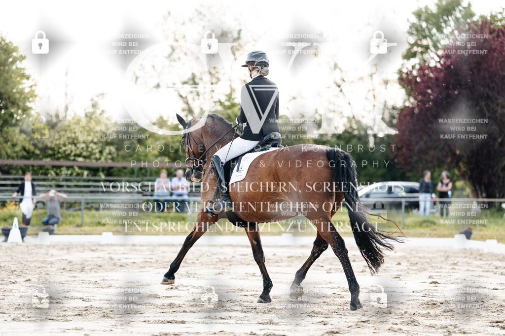 CK909646 | Turnierfotografie Pferdefotografie Trier Rheinland-Pfalz Pferdesport Reitsport Tierfotografie Sportfotografie Pferdevideo Pferdevideografie Equestrianvideography equestrianphotography  - Realisiert mit Pictrs.com