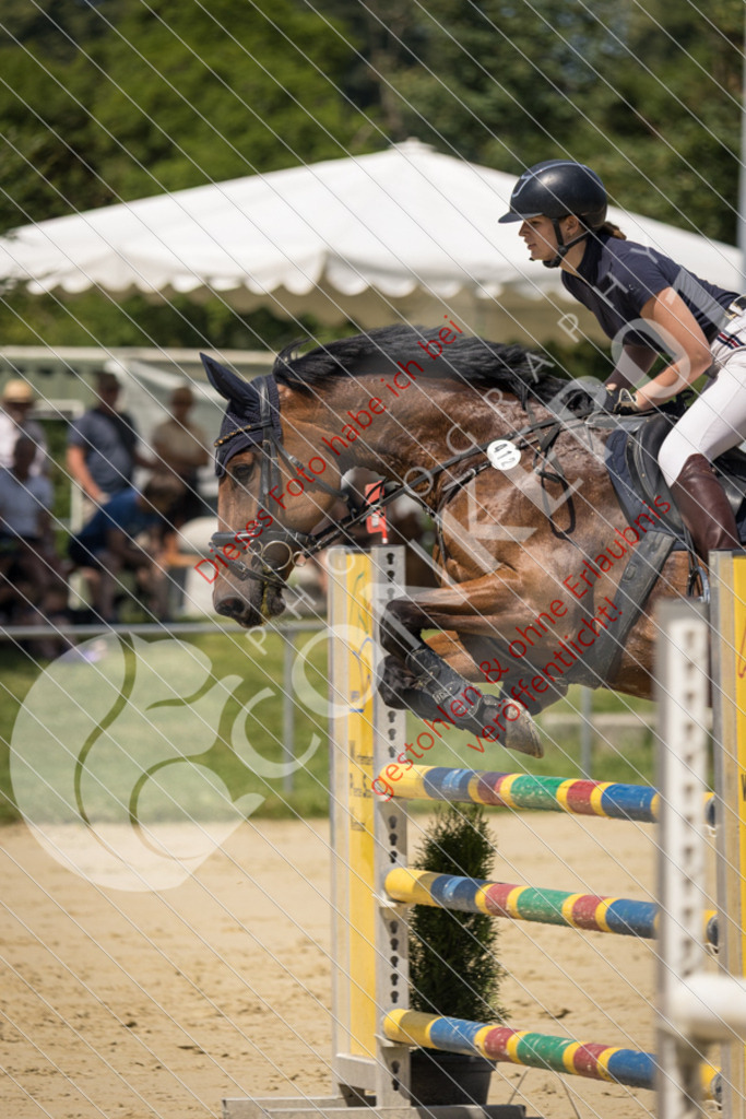 IMG_9333 | Sport-, Event- und Tierfotos in Profiqualität. Einfach auswählen, bestellen und herunterladen. Dein Moment – perfekt festgehalten.