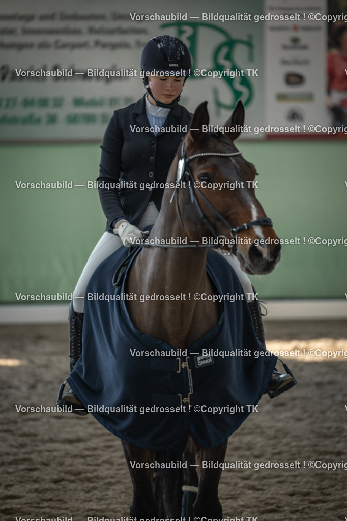 _D5A8619 | Emotionale Pferde- & People-Fotografie rund um Heidelberg, Leimen & Umgebung. Natürliche Fotos von Pferd, Mensch & Familie. Jetzt Termin sichern!