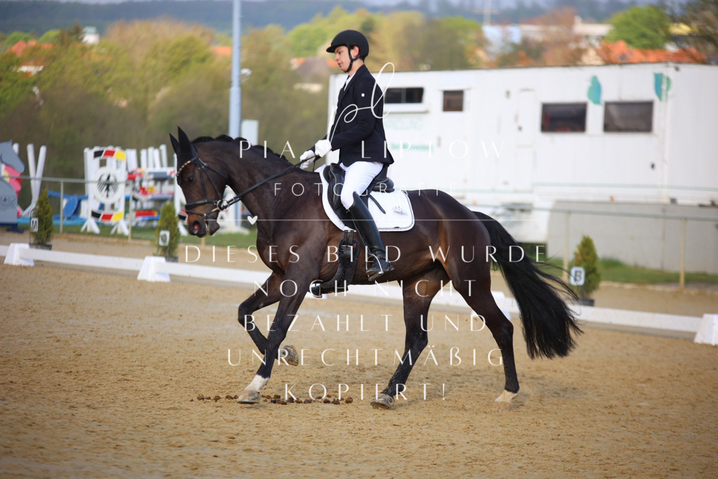 IMGT8726 | pl-fotografie