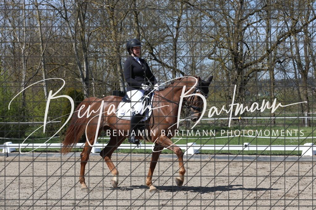 AZ2A5266 | Benjamin Bartmann Photomoments