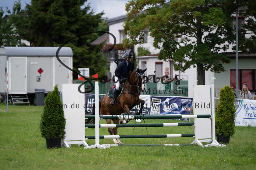 A7V03916 | Pferdefotograf