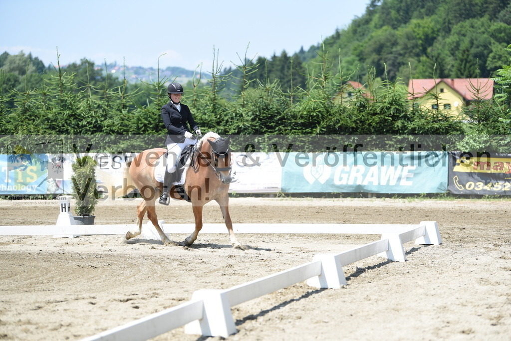 DSC_0357 | equestrian-live-com