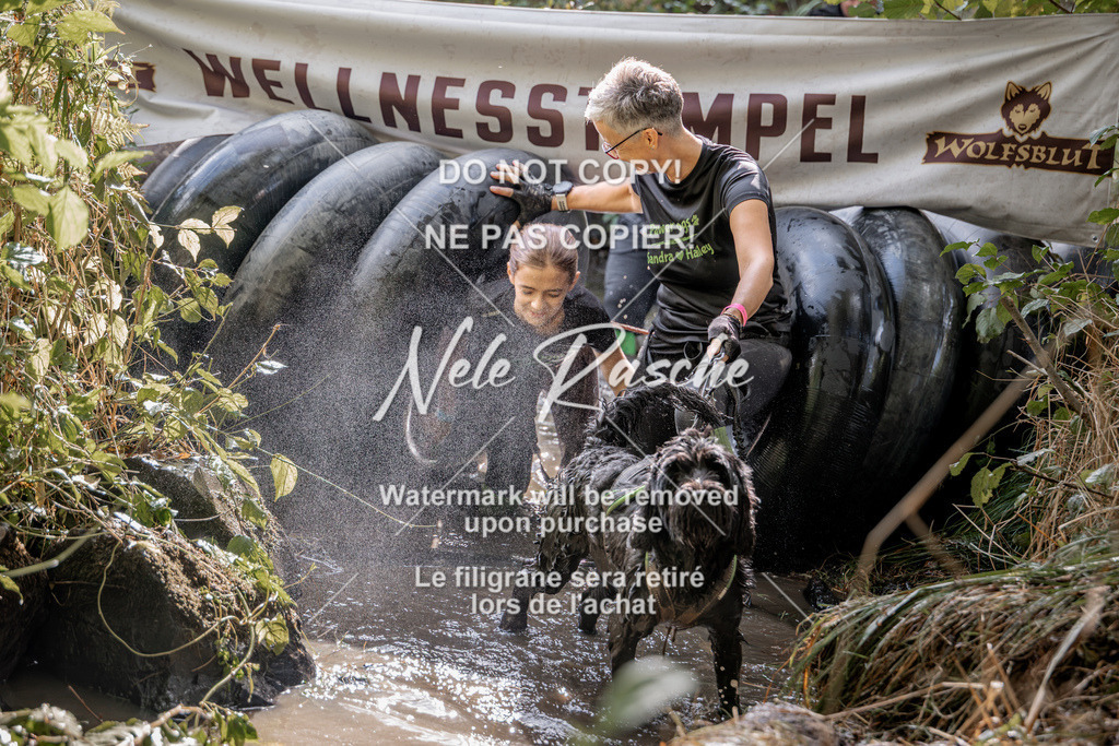nelerasche_Hunsrück2026_Sa1400-1500_392 | nelerasche