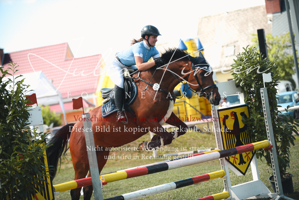 DSC_6506 | Pferde- und Turnierfotografie in Westsachsen. Pferdeportraits, Auftragszeichnungen und intuitive Kunst.