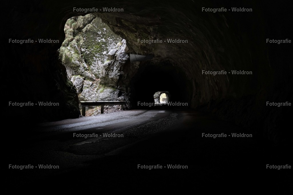 20221109 Rappenlochschlucht Dornbirn-3 | Fotografie Woldron