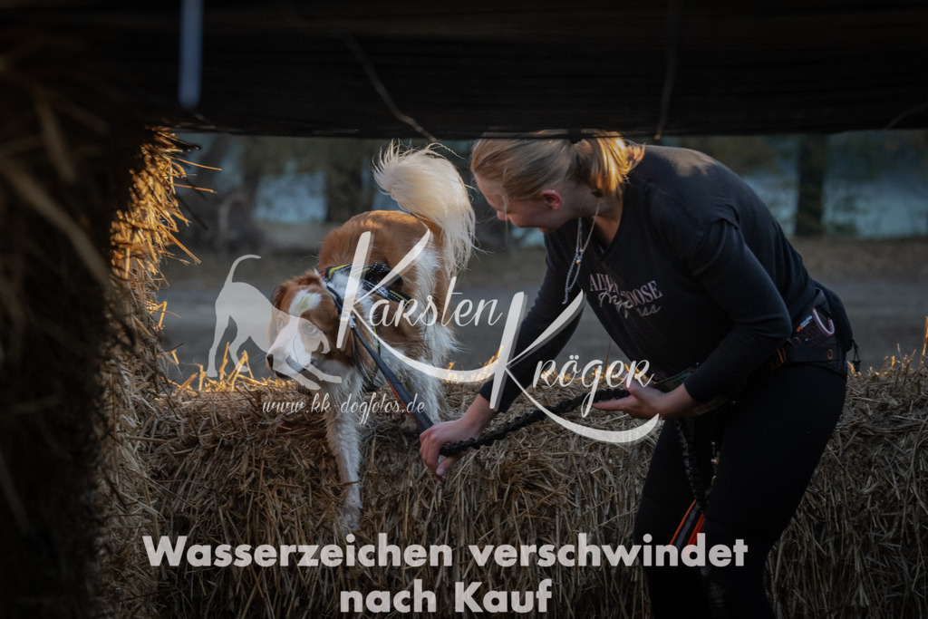 0902_ZZ90690 | kk-dogfotos