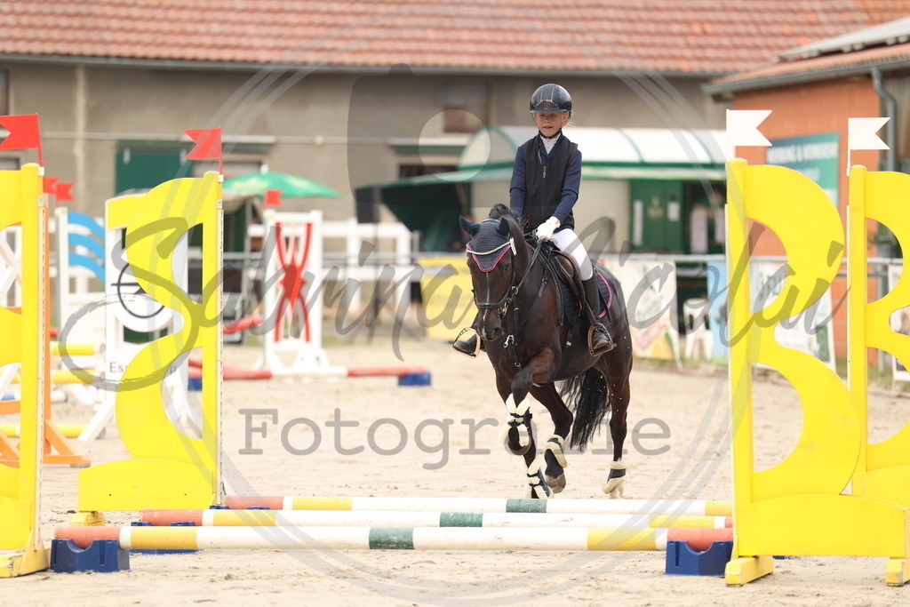 994A8255 | sabrinanicolaifotografie - Realisiert mit Pictrs.com