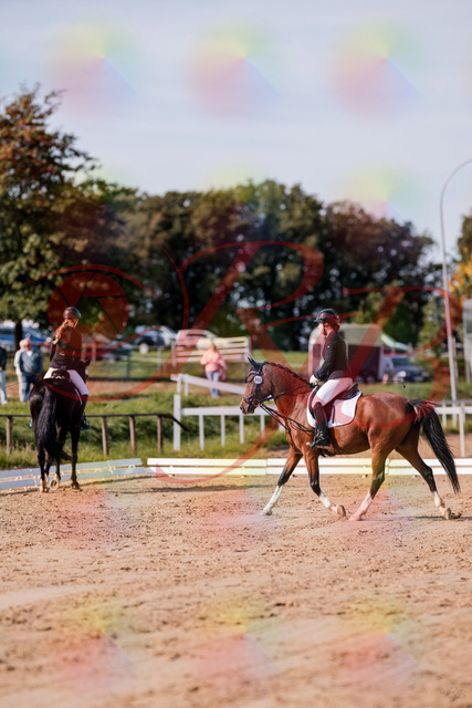 2026_10_03_Siefer-Hof_115448_Z81_94631605 | Professionelle Reitsport-, Turnier- und Eventfotografie von Robert Broda. Galerien mit ausgewählten und bearbeiteten Bildern direkt online ansehen und bestellen.