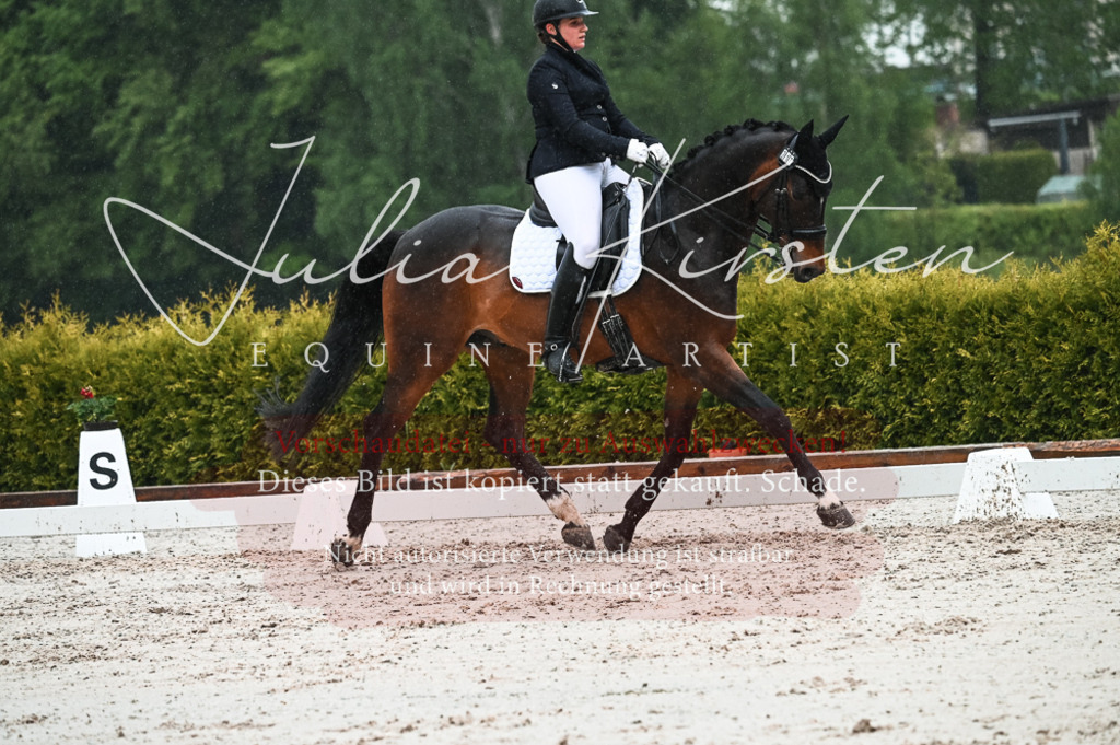 DSC_4537 | Pferde- und Turnierfotografie in Westsachsen. Pferdeportraits, Auftragszeichnungen und intuitive Kunst.