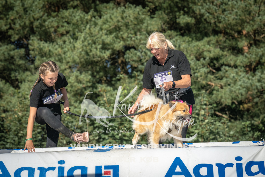 1604_ZZ98451 | kk-dogfotos