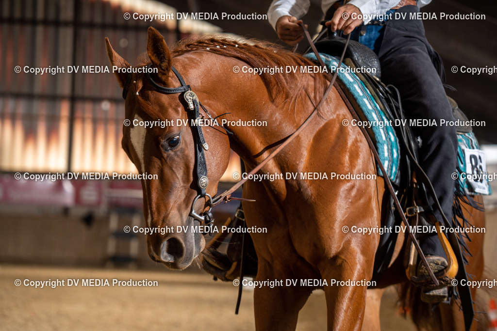 Zeiskam Tag 1-468 | dv-media-shop - Realisiert mit Pictrs.com