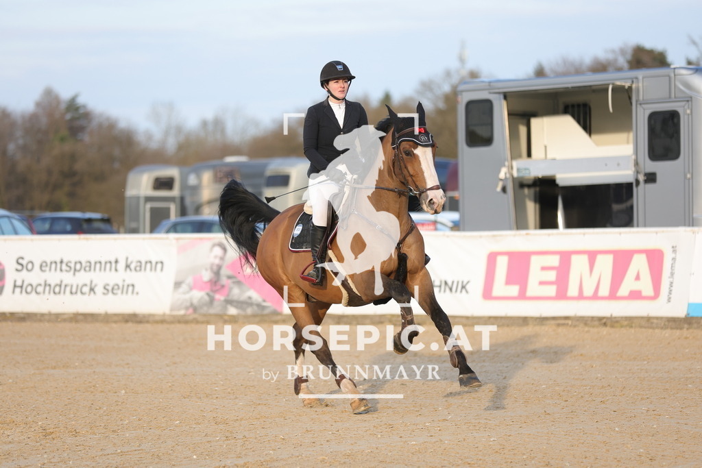 0P6A3216 | Willkommen bei Brunnmayr - Design & Fotografie – Ihrem Spezialisten für Reitturniere und Pferdeveranstaltungen in Oberösterreich, Salzburg und Bayern! Seit über 17 Jahren sind wir leidenschaftlich dabei.
