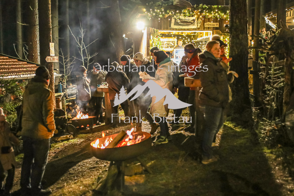 OE7A9340 | unterwegs auf der Schweinhütter Waldweihnacht