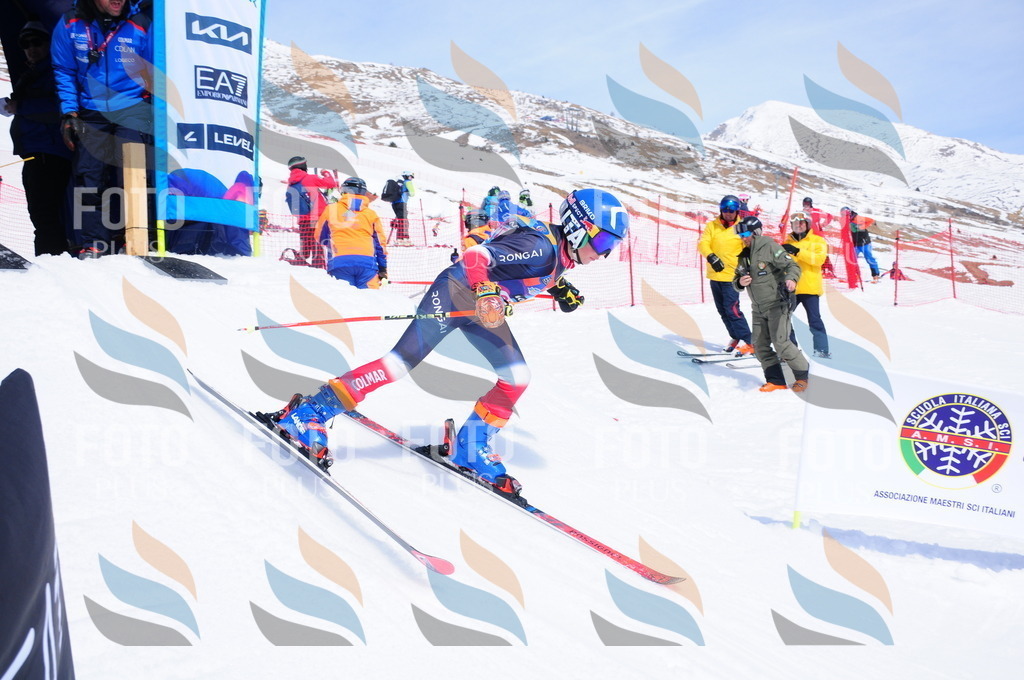 DSC_7339 | holidayphoto