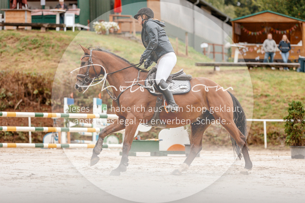 3I6A5868 | Stimmungsvolle Portraits und Reitsportfotografie im Ruhrgebiet und im Münsterland.

Pferdefotografie, Hundefotografie, Tierfotografie, Reportagen, Portraits von Tier und Mensch, Turnierfotografie in Bochum, Recklinghausen, Marl, Haltern am See, Dülmen.. - Realisiert mit Pictrs.com