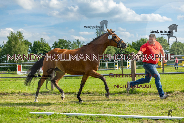 DR 3 (416 von 681) | mandyhollmannphotographie