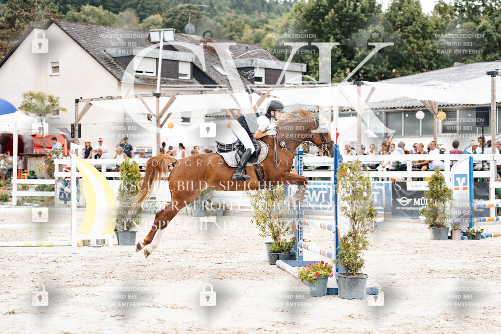 CK908451 | Turnierfotografie Pferdefotografie Trier Rheinland-Pfalz Pferdesport Reitsport Tierfotografie Sportfotografie Pferdevideo Pferdevideografie Equestrianvideography equestrianphotography  - Realisiert mit Pictrs.com
